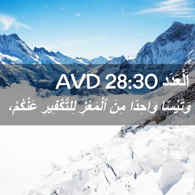 Picture 02 - اَلْعَدَد 28:30 AVD - وَتَيْسًا وَاحِدًا مِنَ - Bible Verse Picture