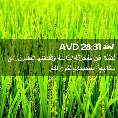 Picture 02 - اَلْعَدَد 28:31 AVD - فَضْلًا عَنِ - Bible Verse Picture