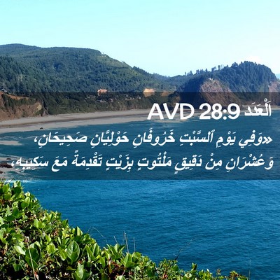 Picture 02 - اَلْعَدَد 28:9 AVD - «وَفِي يَوْمِ ٱلسَّبْتِ - Bible Verse Picture