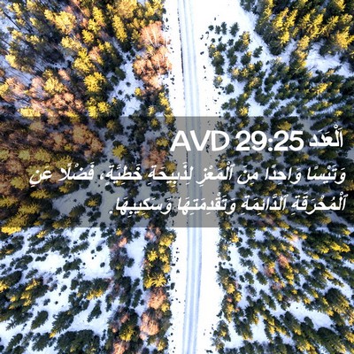 Picture 02 - اَلْعَدَد 29:25 AVD - وَتَيْسًا وَاحِدًا مِنَ - Bible Verse Picture