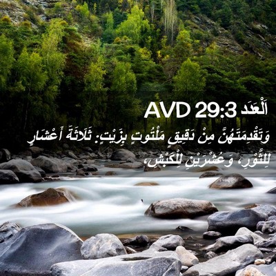Picture 02 - اَلْعَدَد 29:3 AVD - وَتَقْدِمَتَهُنَّ مِنْ - Bible Verse Picture