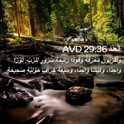 Picture 02 - اَلْعَدَد 29:36 AVD - وَتُقَرِّبُونَ مُحْرَقَةً - Bible Verse Picture