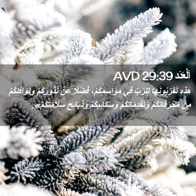 Picture 02 - اَلْعَدَد 29:39 AVD - هَذِهِ تُقَرِّبُونَهَا - Bible Verse Picture