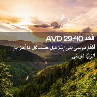 Picture 02 - اَلْعَدَد 29:40 AVD - فَكَلَّمَ مُوسَى بَنِي - Bible Verse Picture