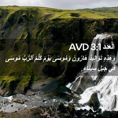 Picture 02 - اَلْعَدَد 3:1 AVD - وَهَذِهِ تَوَالِيدُ - Bible Verse Picture