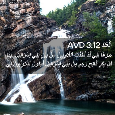 Picture 02 - اَلْعَدَد 3:12 AVD - «وَهَا إِنِّي قَدْ - Bible Verse Picture