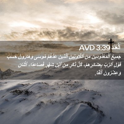 Picture 02 - اَلْعَدَد 3:39 AVD - جَمِيعُ ٱلْمَعْدُودِينَ - Bible Verse Picture