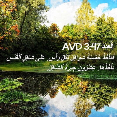 Picture 02 - اَلْعَدَد 3:47 AVD - فَتَأْخُذُ خَمْسَةَ - Bible Verse Picture