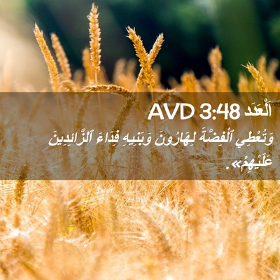 Picture 02 - اَلْعَدَد 3:48 AVD - وَتُعْطِي ٱلْفِضَّةَ - Bible Verse Picture