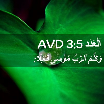 Picture 02 - اَلْعَدَد 3:5 AVD - وَكَلَّمَ ٱلرَّبُّ مُوسَى - Bible Verse Picture