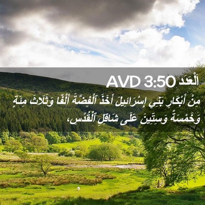 Picture 02 - اَلْعَدَد 3:50 AVD - مِنْ أَبْكَارِ بَنِي - Bible Verse Picture