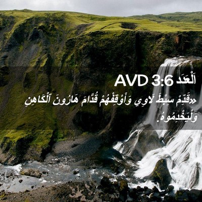 Picture 02 - اَلْعَدَد 3:6 AVD - «قَدِّمْ سِبْطَ لَاوِي - Bible Verse Picture
