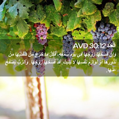 Picture 02 - اَلْعَدَد 30:12 AVD - وَإِنْ فَسَخَهَا - Bible Verse Picture