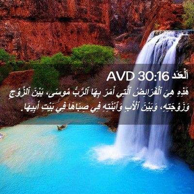 Picture 02 - اَلْعَدَد 30:16 AVD - هَذِهِ هِيَ ٱلْفَرَائِضُ - Bible Verse Picture