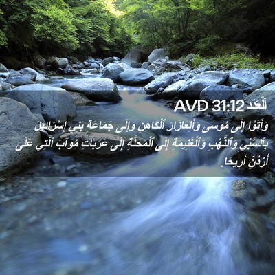 Picture 02 - اَلْعَدَد 31:12 AVD - وَأَتَوْا إِلَى مُوسَى - Bible Verse Picture