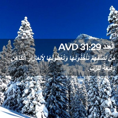 Picture 02 - اَلْعَدَد 31:29 AVD - مِنْ نِصْفِهِمْ - Bible Verse Picture
