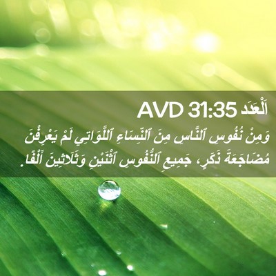 Picture 02 - اَلْعَدَد 31:35 AVD - وَمِنْ نُفُوسِ ٱلنَّاسِ - Bible Verse Picture