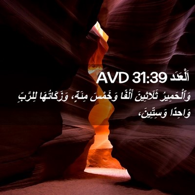 Picture 02 - اَلْعَدَد 31:39 AVD - وَٱلْحَمِيرُ ثَلَاثِينَ - Bible Verse Picture