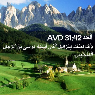 Picture 02 - اَلْعَدَد 31:42 AVD - وَأَمَّا نِصْفُ - Bible Verse Picture