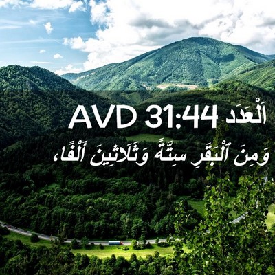 Picture 02 - اَلْعَدَد 31:44 AVD - وَمِنَ ٱلْبَقَرِ سِتَّةً - Bible Verse Picture