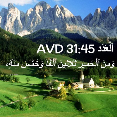 Picture 02 - اَلْعَدَد 31:45 AVD - وَمِنَ ٱلْحَمِيرِ - Bible Verse Picture