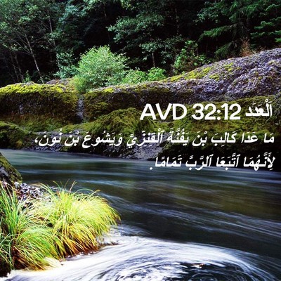 Picture 02 - اَلْعَدَد 32:12 AVD - مَا عَدَا كَالِبَ بْنَ - Bible Verse Picture