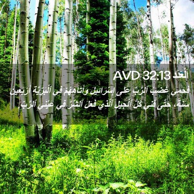 Picture 02 - اَلْعَدَد 32:13 AVD - فَحَمِيَ غَضَبُ ٱلرَّبِّ - Bible Verse Picture