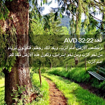 Picture 02 - اَلْعَدَد 32:22 AVD - وَأُخْضِعَتِ ٱلْأَرْضُ - Bible Verse Picture