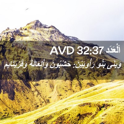 Picture 02 - اَلْعَدَد 32:37 AVD - وَبَنَى بَنُو رَأُوبَيْنَ: - Bible Verse Picture