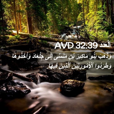 Picture 02 - اَلْعَدَد 32:39 AVD - وَذَهَبَ بَنُو مَاكِيرَ - Bible Verse Picture