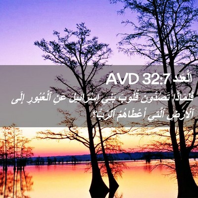 Picture 02 - اَلْعَدَد 32:7 AVD - فَلِمَاذَا تَصُدُّونَ - Bible Verse Picture