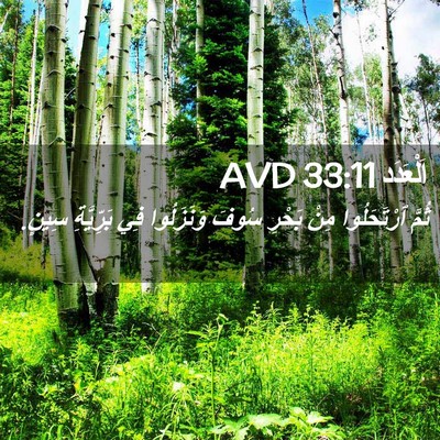 Picture 02 - اَلْعَدَد 33:11 AVD - ثُمَّ ٱرْتَحَلُوا مِنْ - Bible Verse Picture