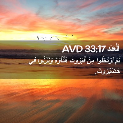Picture 02 - اَلْعَدَد 33:17 AVD - ثُمَّ ٱرْتَحَلُوا مِنْ - Bible Verse Picture