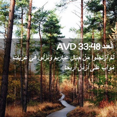 Picture 02 - اَلْعَدَد 33:48 AVD - ثُمَّ ٱرْتَحَلُوا مِنْ - Bible Verse Picture