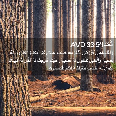 Picture 02 - اَلْعَدَد 33:54 AVD - وَتَقْتَسِمُونَ ٱلْأَرْضَ - Bible Verse Picture