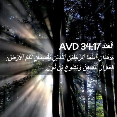 Picture 02 - اَلْعَدَد 34:17 AVD - «هَذَانِ ٱسْمَا - Bible Verse Picture