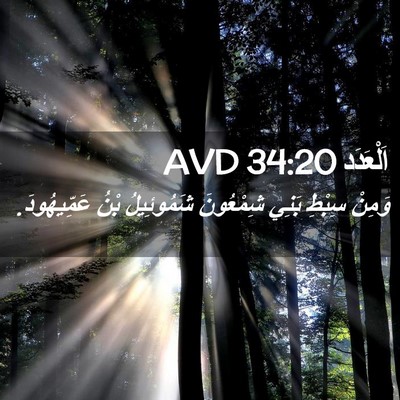 Picture 02 - اَلْعَدَد 34:20 AVD - وَمِنْ سِبْطِ بَنِي - Bible Verse Picture