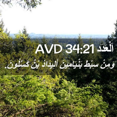 Picture 02 - اَلْعَدَد 34:21 AVD - وَمِنْ سِبْطِ - Bible Verse Picture
