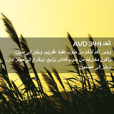 Picture 02 - اَلْعَدَد 34:4 AVD - وَيَدُورُ لَكُمُ - Bible Verse Picture