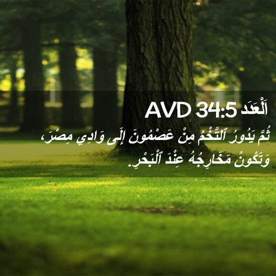 Picture 02 - اَلْعَدَد 34:5 AVD - ثُمَّ يَدُورُ ٱلتَّخْمُ - Bible Verse Picture