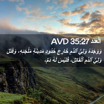 Picture 02 - اَلْعَدَد 35:27 AVD - وَوَجَدَهُ وَلِيُّ - Bible Verse Picture