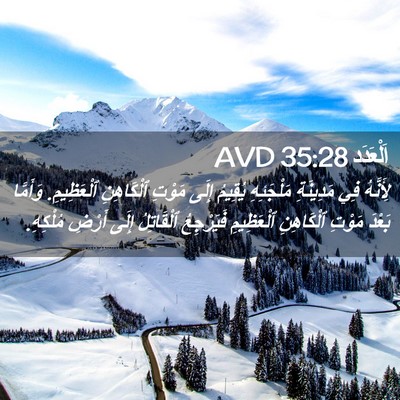 Picture 02 - اَلْعَدَد 35:28 AVD - لِأَنَّهُ فِي مَدِينَةِ - Bible Verse Picture