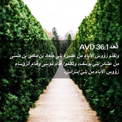 Picture 02 - اَلْعَدَد 36:1 AVD - وَتَقَدَّمَ رُؤُوسُ - Bible Verse Picture
