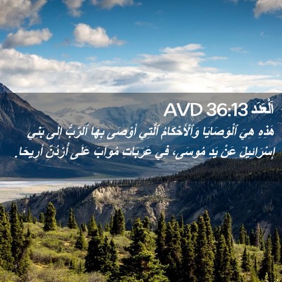 Picture 02 - اَلْعَدَد 36:13 AVD - هَذِهِ هِيَ ٱلْوَصَايَا - Bible Verse Picture