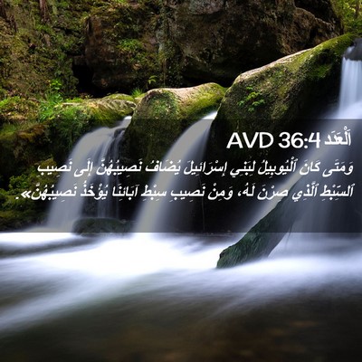Picture 02 - اَلْعَدَد 36:4 AVD - وَمَتَى كَانَ ٱلْيُوبِيلُ - Bible Verse Picture