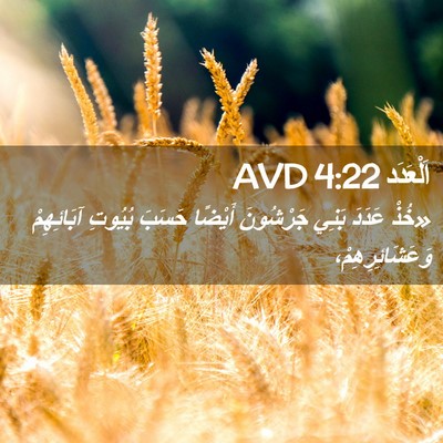 Picture 02 - اَلْعَدَد 4:22 AVD - «خُذْ عَدَدَ بَنِي - Bible Verse Picture
