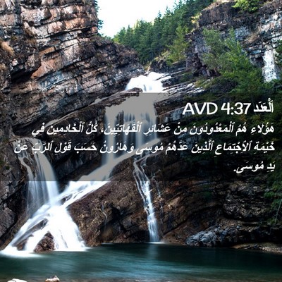 Picture 02 - اَلْعَدَد 4:37 AVD - هَؤُلَاءِ هُمُ - Bible Verse Picture