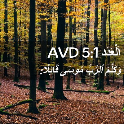 Picture 02 - اَلْعَدَد 5:1 AVD - وَكَلَّمَ ٱلرَّبُّ مُوسَى - Bible Verse Picture