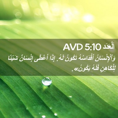 Picture 02 - اَلْعَدَد 5:10 AVD - وَٱلْإِنْسَانُ - Bible Verse Picture