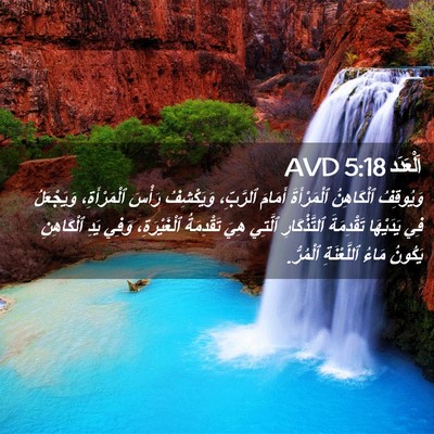 Picture 02 - اَلْعَدَد 5:18 AVD - وَيُوقِفُ ٱلْكَاهِنُ - Bible Verse Picture